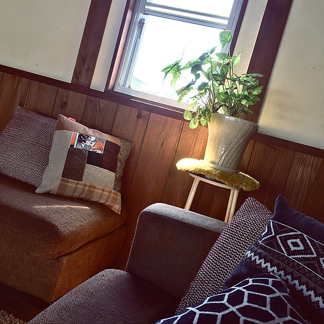 Saruさんの実例写真