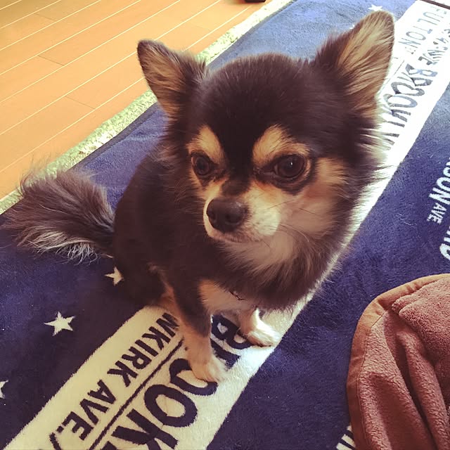 yokochinさんの実例写真