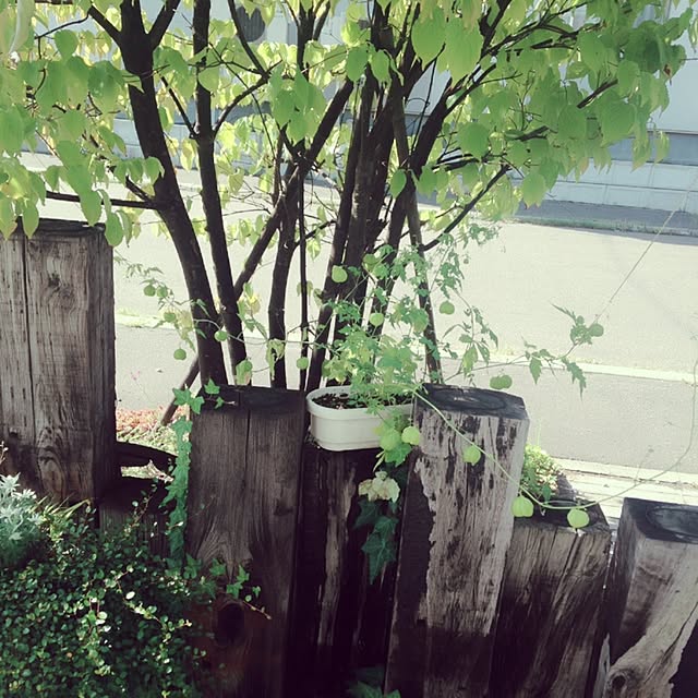 okeiさんの実例写真