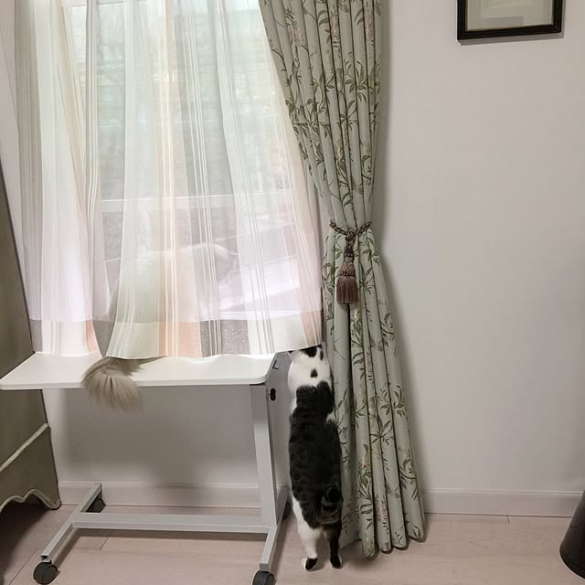 yuchiさんの実例写真