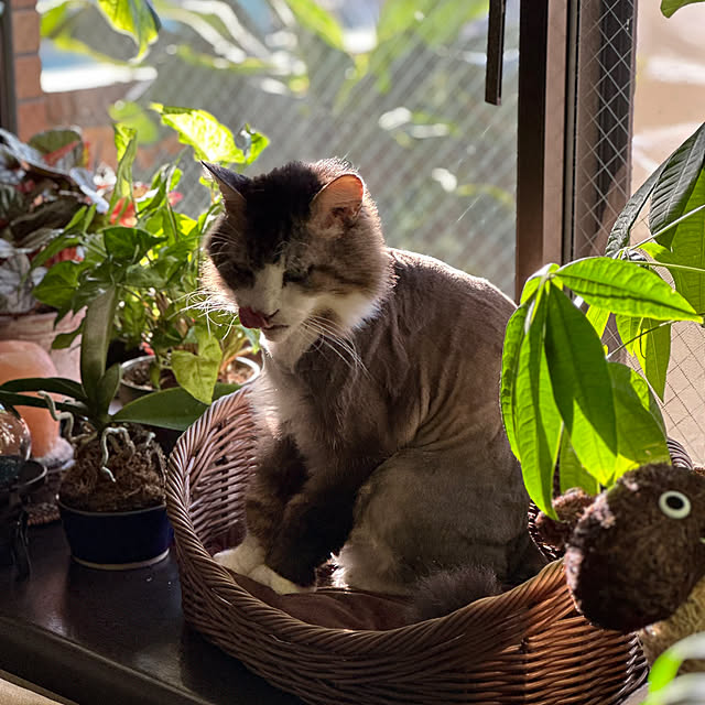 Kyouさんの部屋