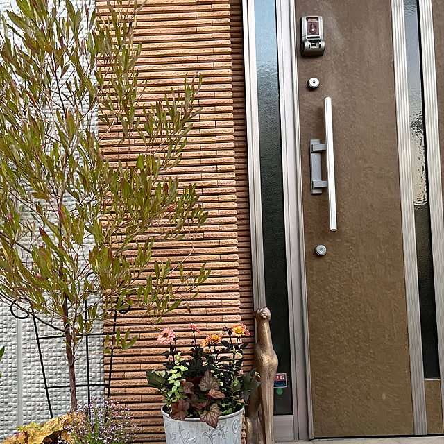 yukarin-gardenさんの部屋