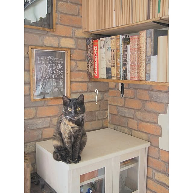 Ryoさんの実例写真