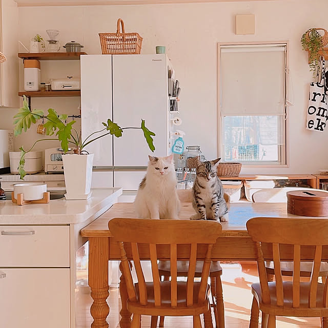 milkcocoaさんの実例写真