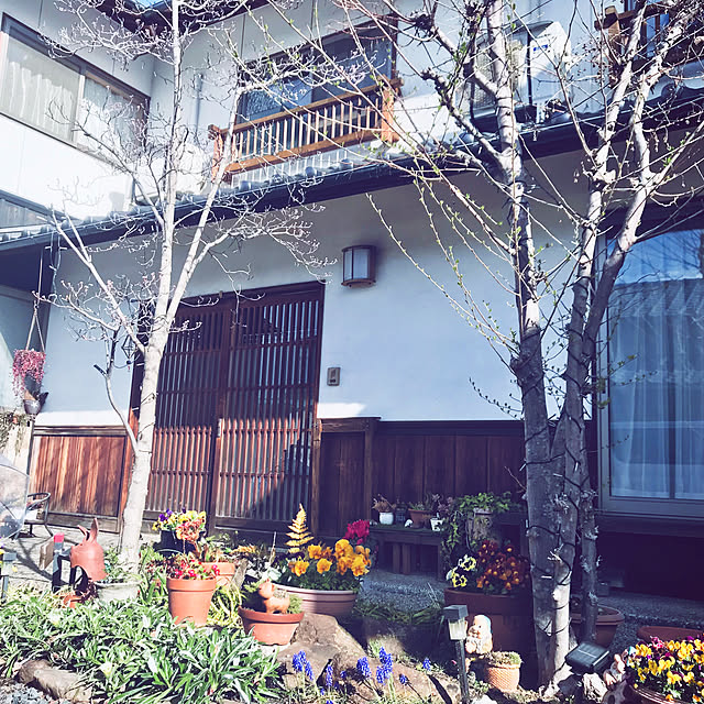 maroさんの実例写真
