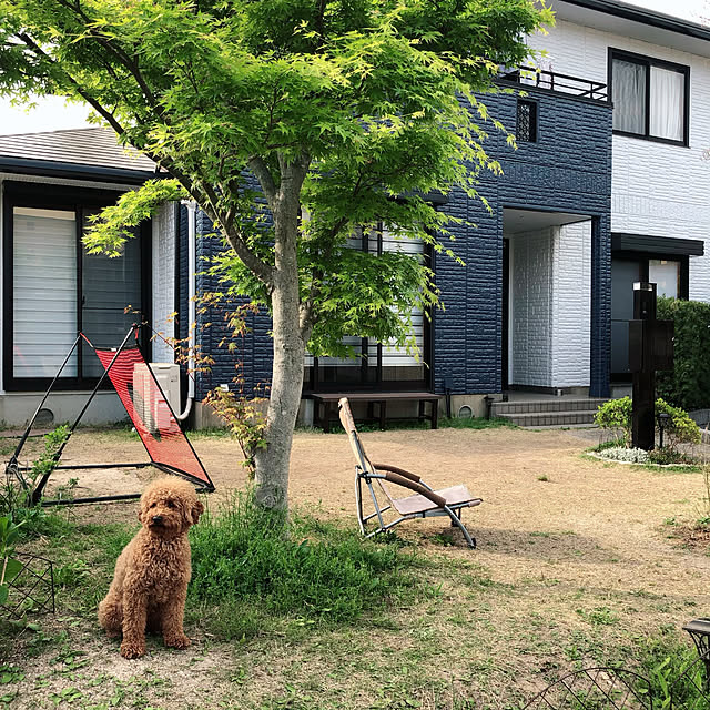 blueberryさんの実例写真