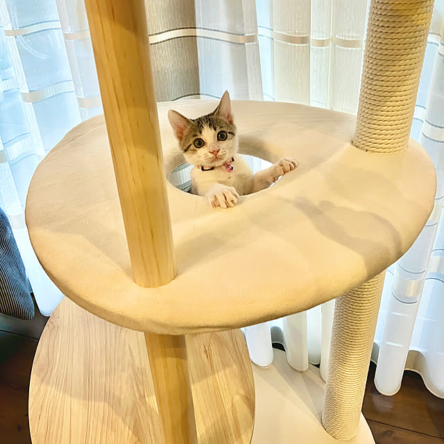 ayataroさんの部屋