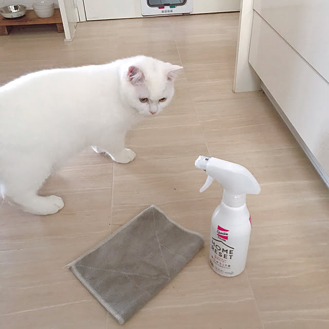 kotoriさんの実例写真