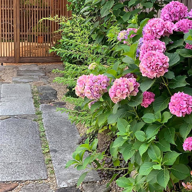 KAZさんの部屋