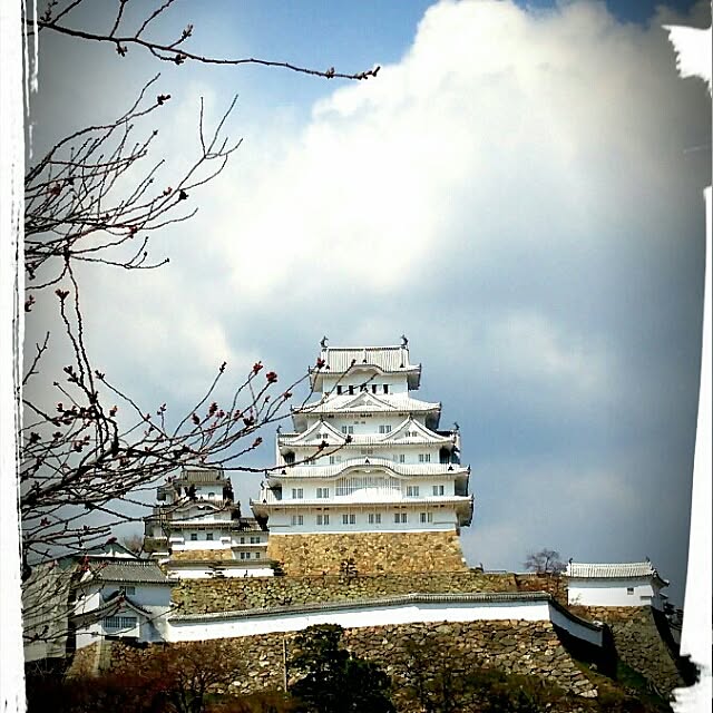 実例写真