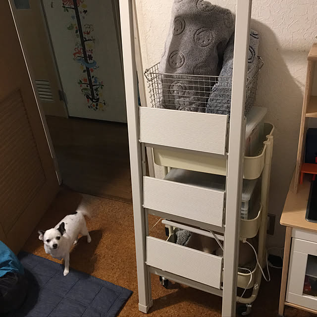 ohanaさんの実例写真