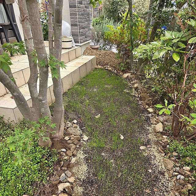 MARIE.color.interiorさんの部屋