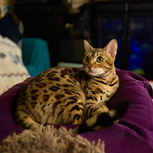 tututu0204さんの部屋