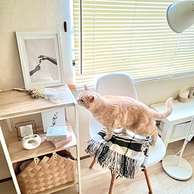 kiyomiさんの部屋