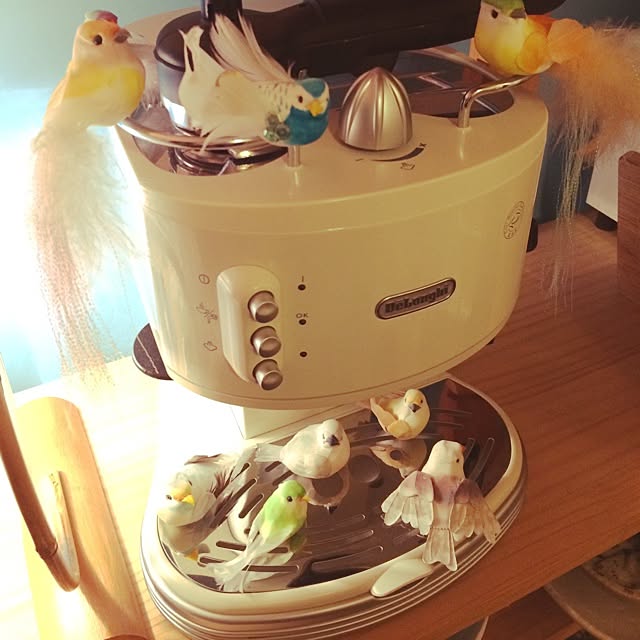 kinoko8oさんの実例写真