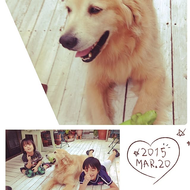 sayuさんの実例写真
