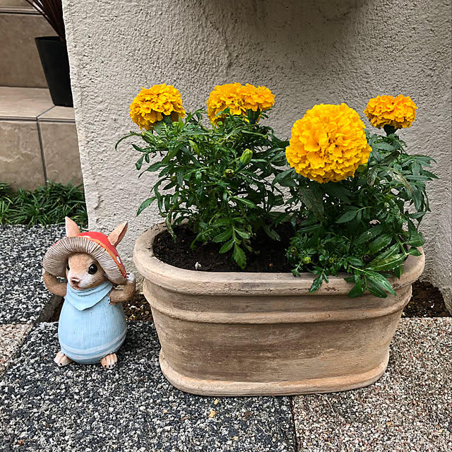 Ricottaさんの実例写真