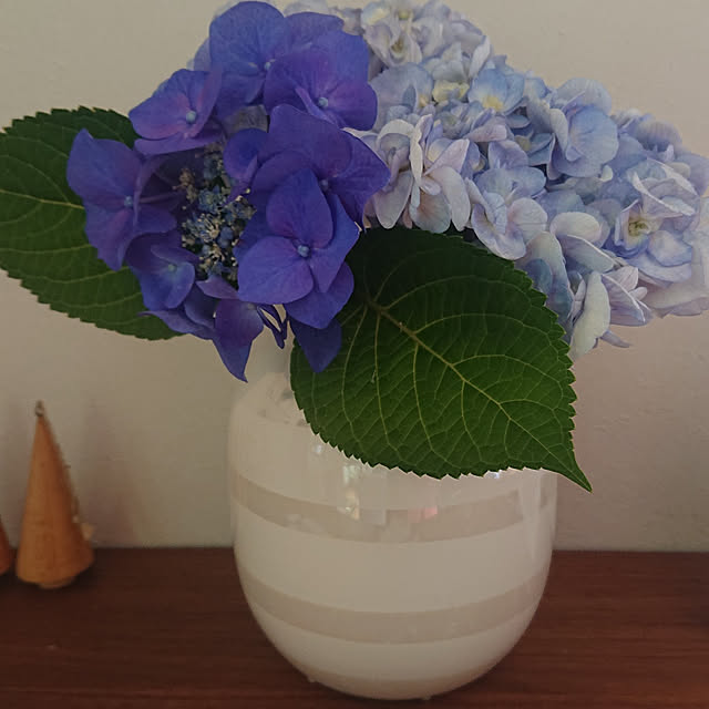 chachahomeさんの実例写真