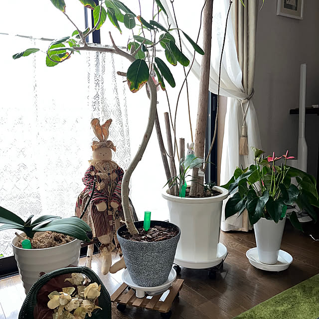 ritsukoさんの部屋