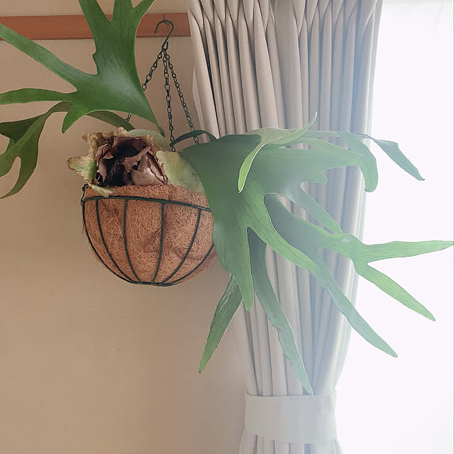 nao.roomさんの実例写真