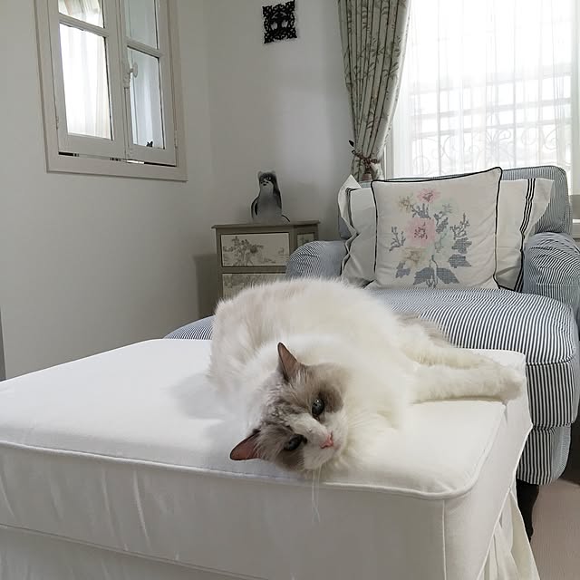 yuchiさんの実例写真