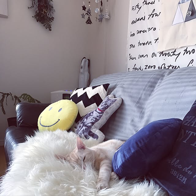 hiyupan88さんの実例写真