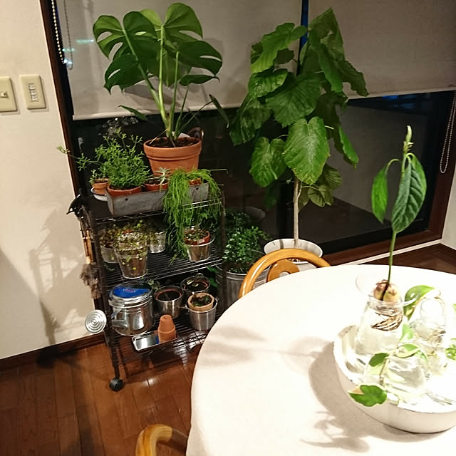 Kさんの実例写真