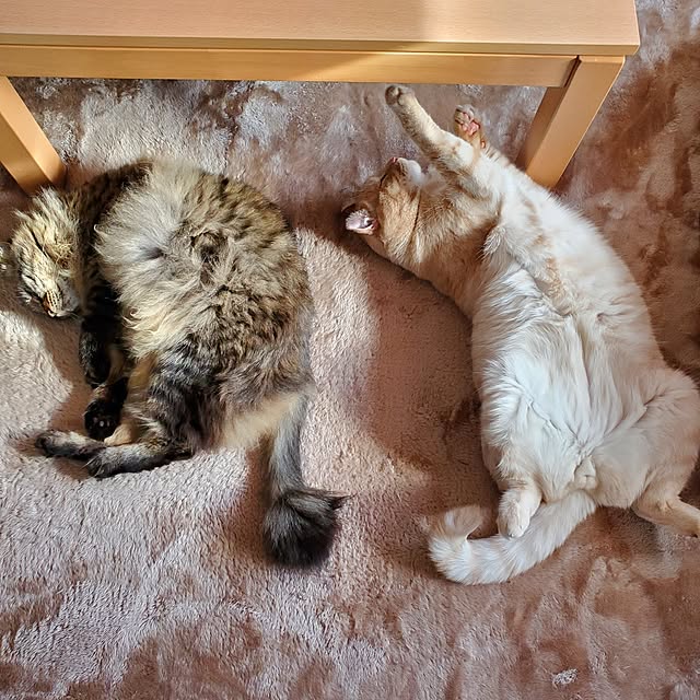 makoさんの部屋