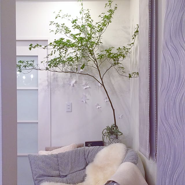Mさんの実例写真