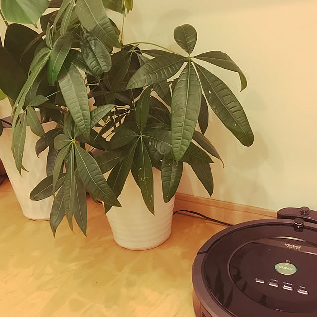 leoさんの実例写真