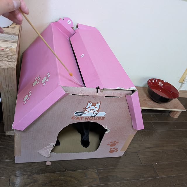 asaさんの実例写真