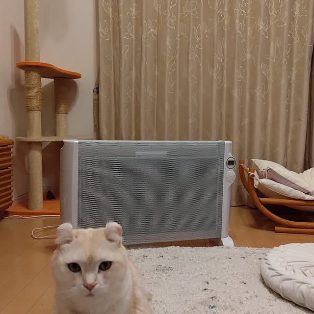 mocoさんの実例写真