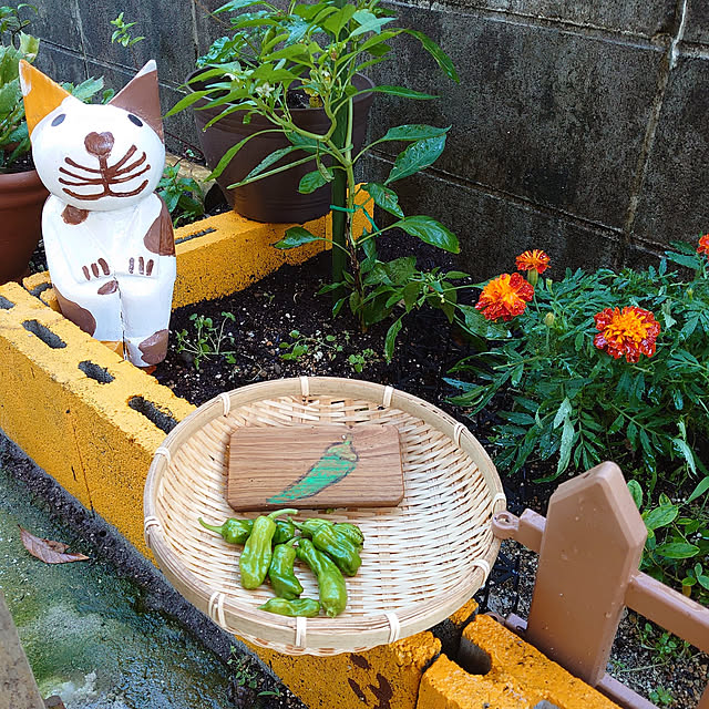 fukuさんの実例写真