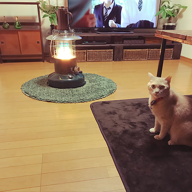 mikan161さんの実例写真