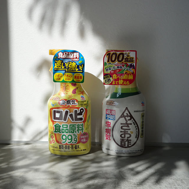 ______tnoieさんの部屋
