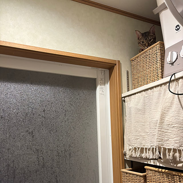 niko.mamさんの実例写真