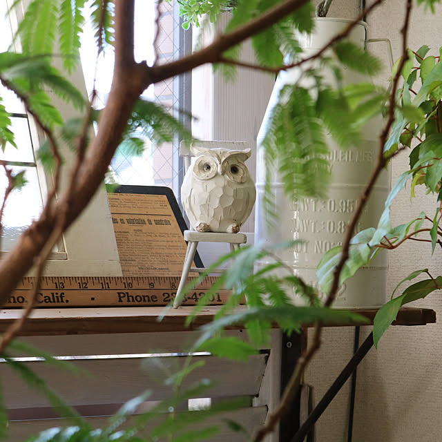maminさんの実例写真