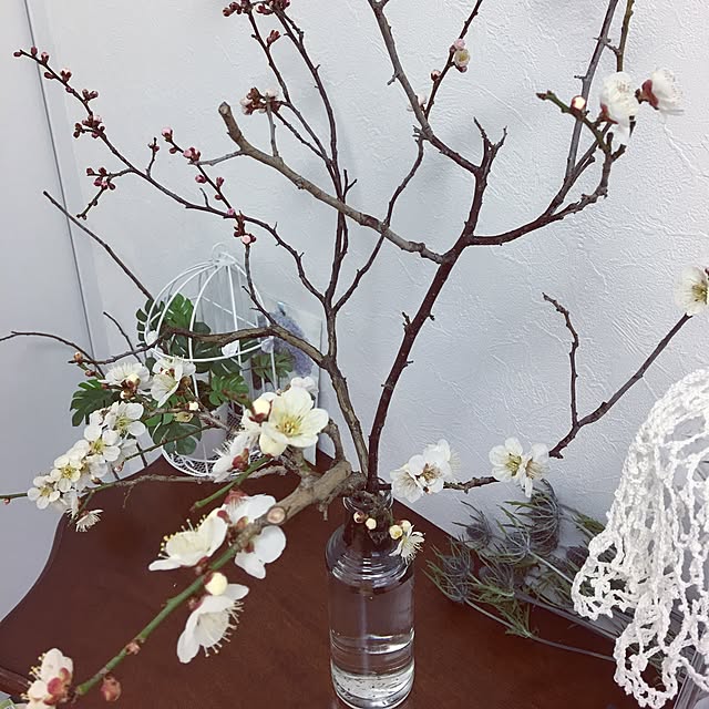 Sakura_hanaさんの実例写真