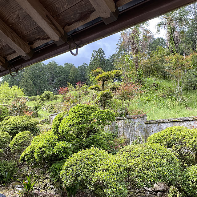 石垣/日本庭園/新緑/さつき/庭...などのインテリア実例 - 2021-05-02 08:59:06