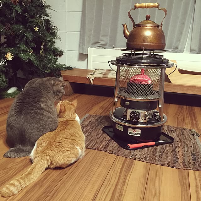 akaneさんの実例写真