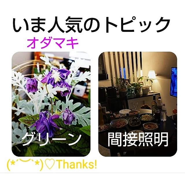 katさんの部屋