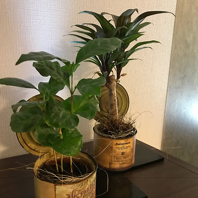 pipipipiさんの実例写真