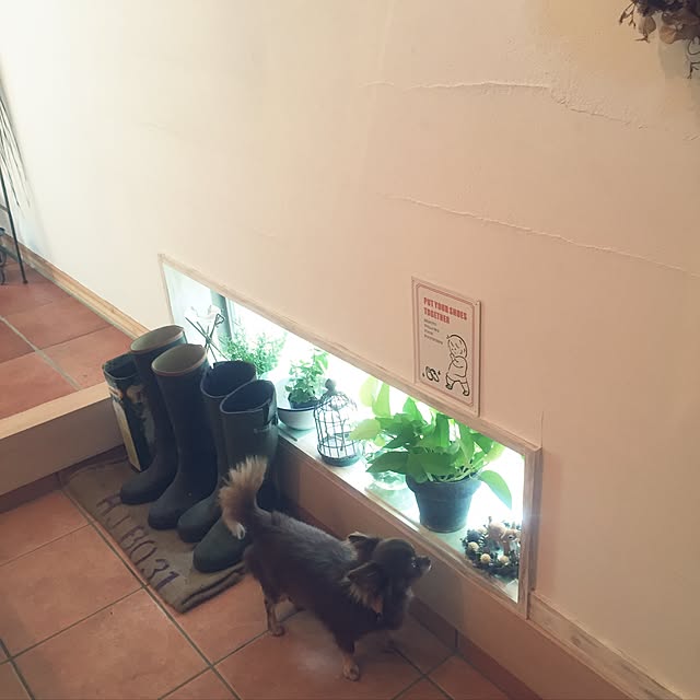 aniseさんの実例写真