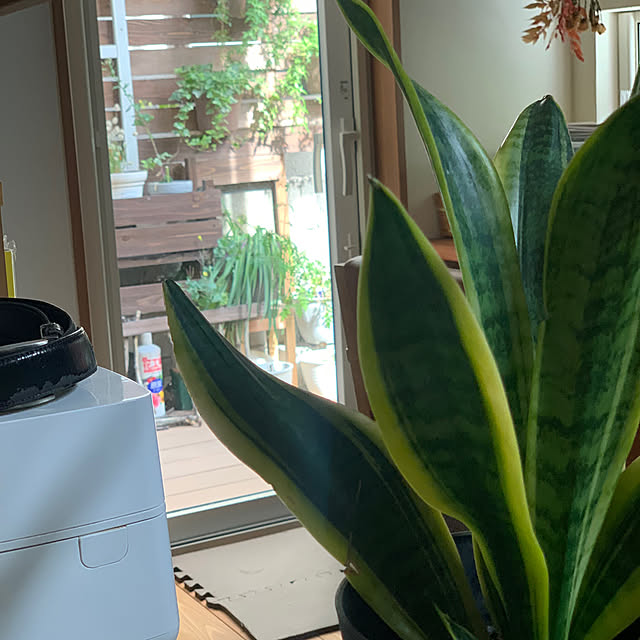 masakoさんの実例写真