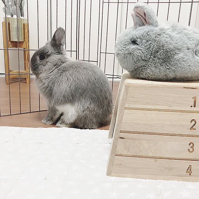 sippoさんの実例写真