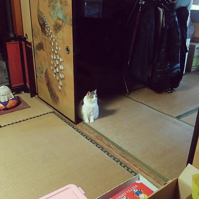 Masakingさんの実例写真