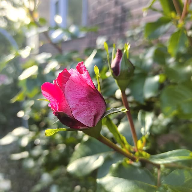 kiraさんの部屋