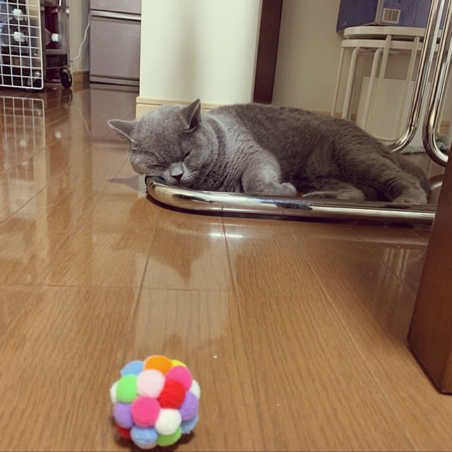 kittyさんの実例写真