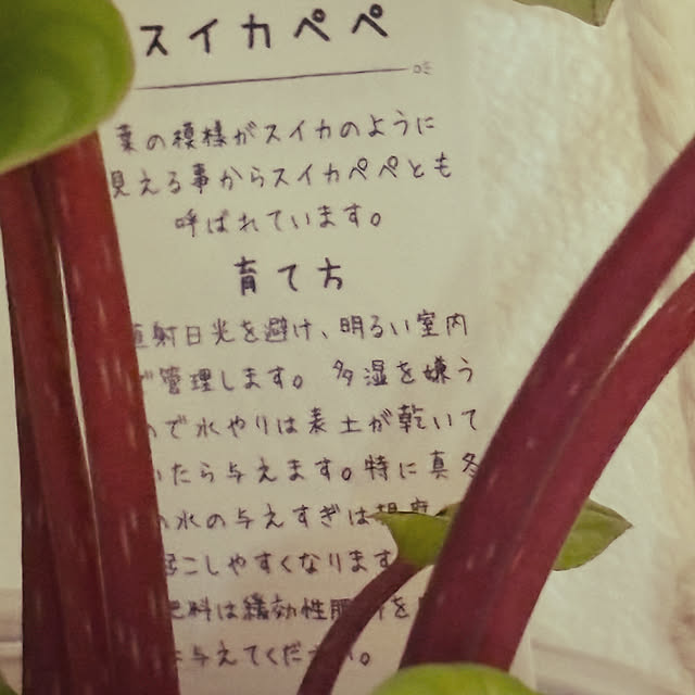 rikaさんの部屋