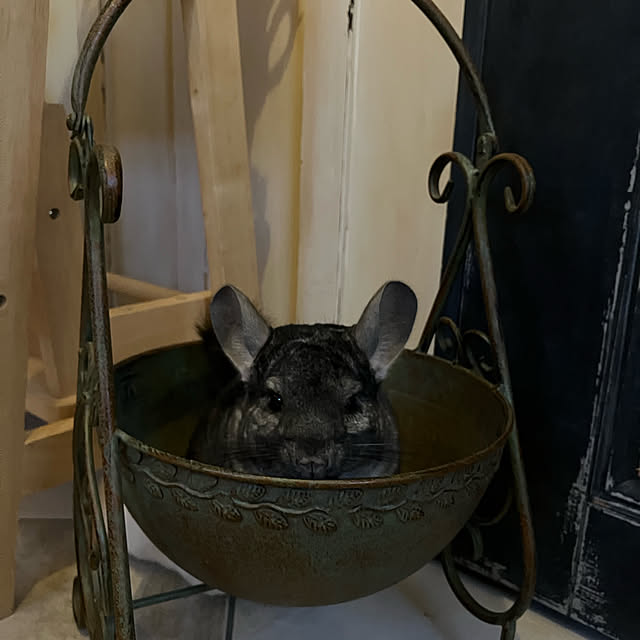 bambiさんの実例写真